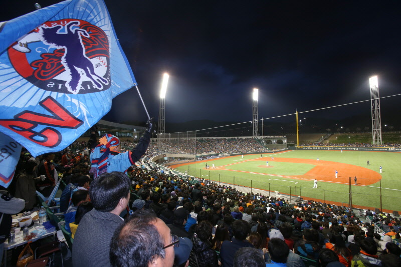 울산 야구장을 찾은 팬들의 응원 모습